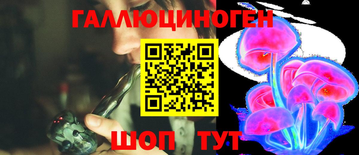 Галлюциногенные грибы Psilocybe Ликино-Дулёво